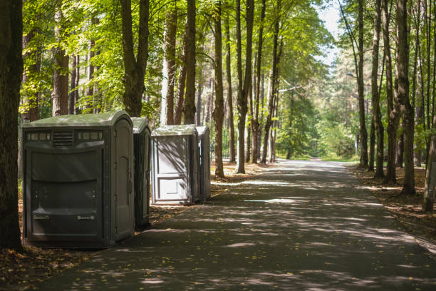 Best Local porta potty services  in St Cloud, MN